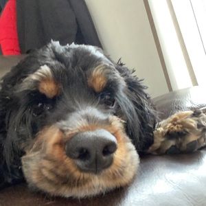 Meet your Posher, Giselle